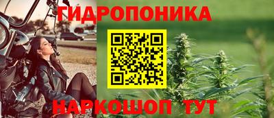 мяу мяу мука Кулебаки